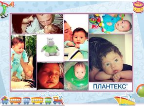 маленький орленок