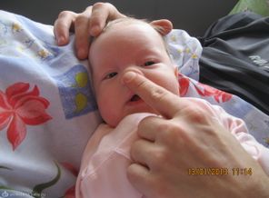 IMG_0649