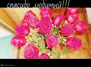 DSCN