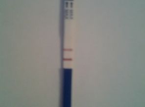 z20rHbt8rGY