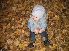 DSCF0031 (7)