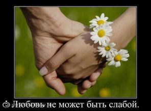 0_8084c_1ed92e71_XL