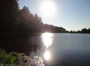 DSC02679