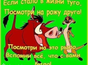 настроение ))))))))))))