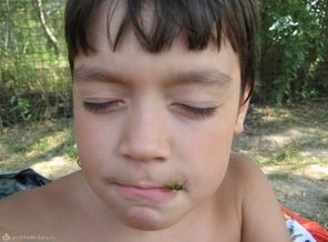 IMG_0343