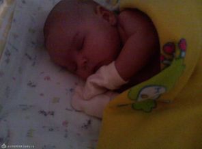 Img01_04-06-2012
