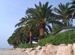 Spain 2012