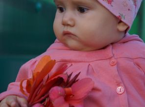 DSC00132