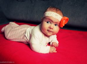 IMG_1536