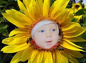 423024795810_6ffdd8dd779d88a0be12cb4017dad073