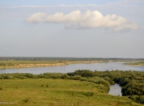 _DSC3987
