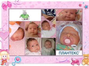 наша Морковка
