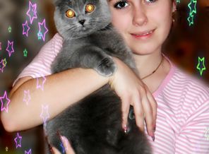 SAM_1923