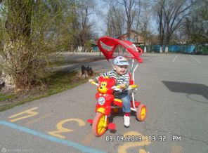 SAM_1393