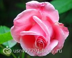 images (22)