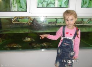 в акуариуме)