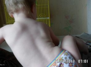 SAM_1378
