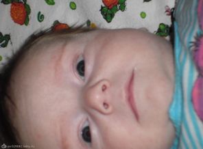 SAM_0009