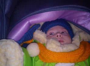 IMG_20130105_161116