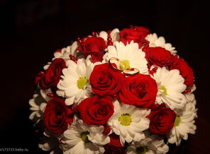 IMG_0205