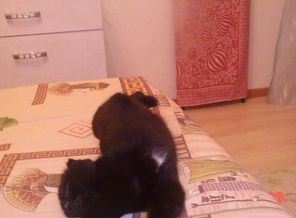 CAM00330[1]