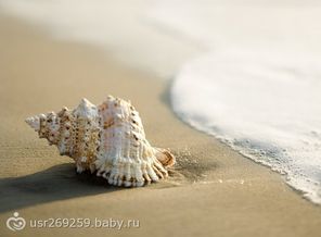 0_543a3_b516d9b5_L