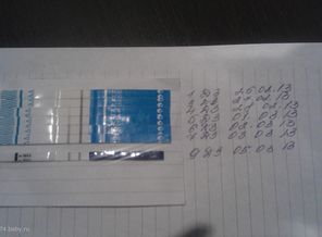IMAG0372