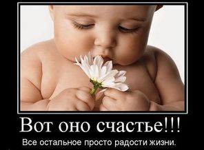 1261305811_demotivator050