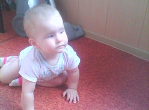 подозревака