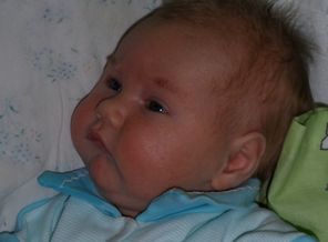 SAM_0647