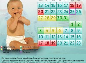 календарь зачатия