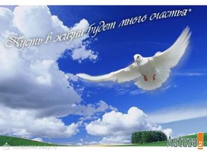 photos0-800x600