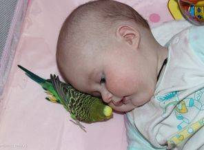 наша лучшая подруга