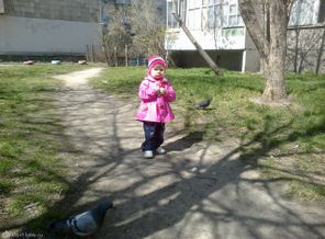 110520131392