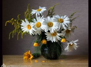 09209b5e2c44bc7cf93726cd315dbb4e