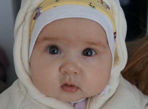 DSC01928