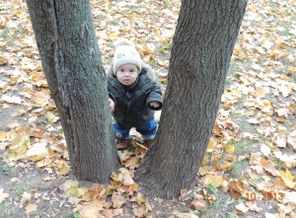 DSCN02762
