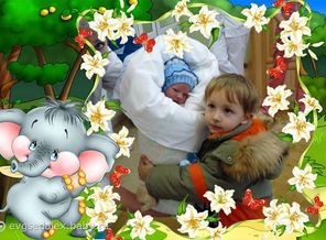 Выписка 19 декабря 2011