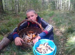 Вот так грибочки