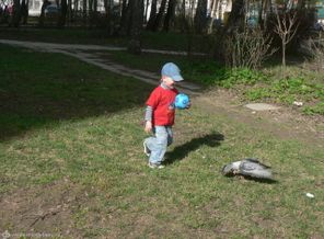 прогулка