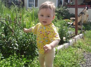 SAM_0031