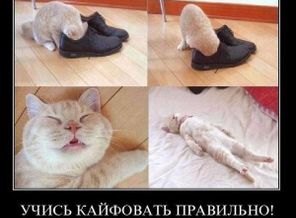 167f5fbb6287