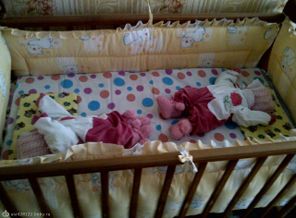 IMG-20121204-00254