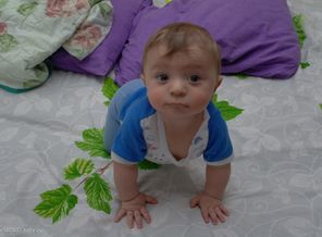 SAM_3531