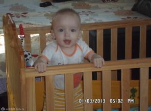 SAM_1235