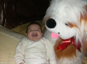 SANY0026