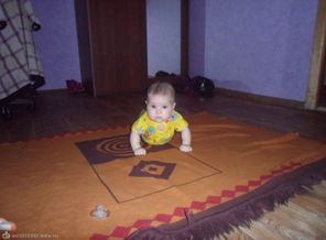 SAM_2894