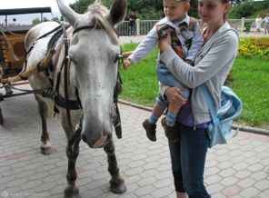 IMG_0442