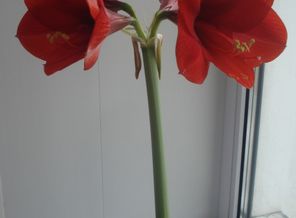 DSC03301