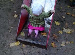 2013-10-26 13.18.16